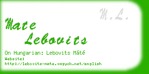 mate lebovits business card