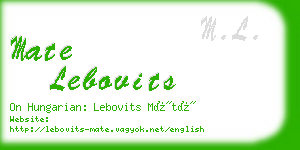 mate lebovits business card